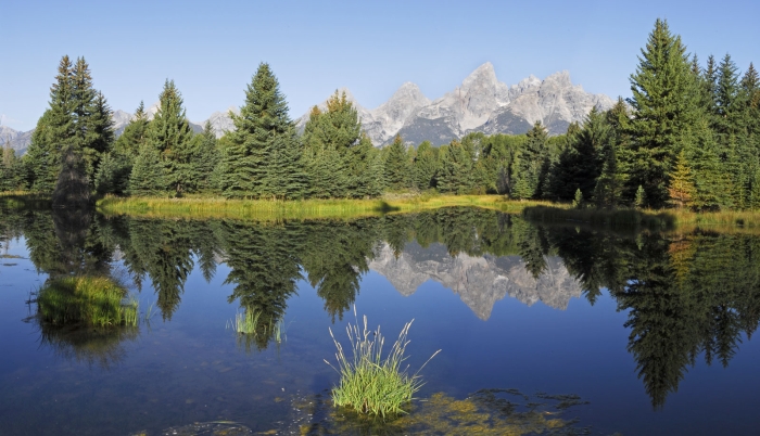 Schwabacher Landing Reflections  +