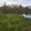 Schwabacher Landing 4