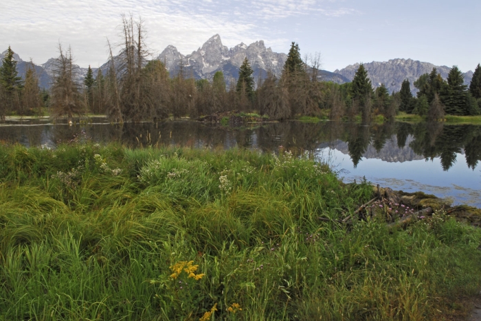 Schwabacher Landing 4