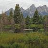 Schwabacher Landing 3