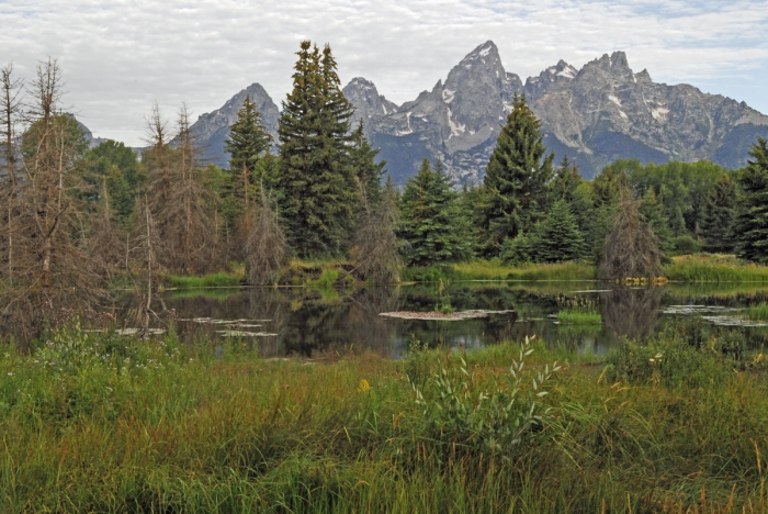 Schwabacher Landing 3