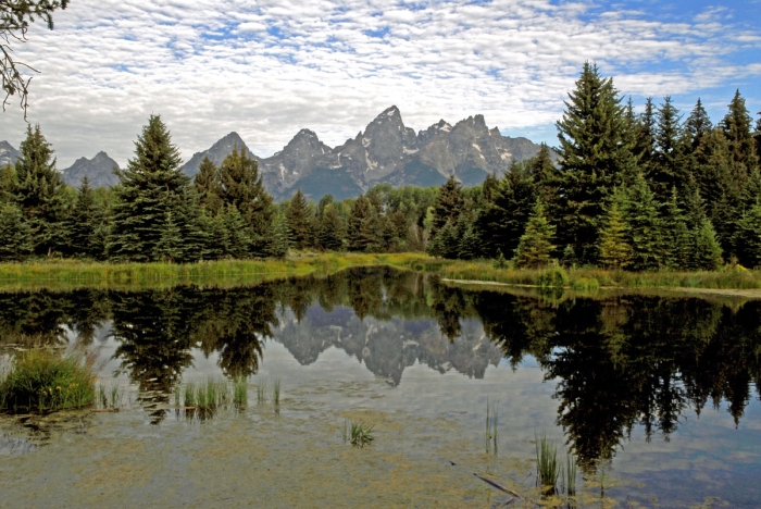 Schwabacher Landing 2  +