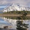 Jackson Lake Reflections +