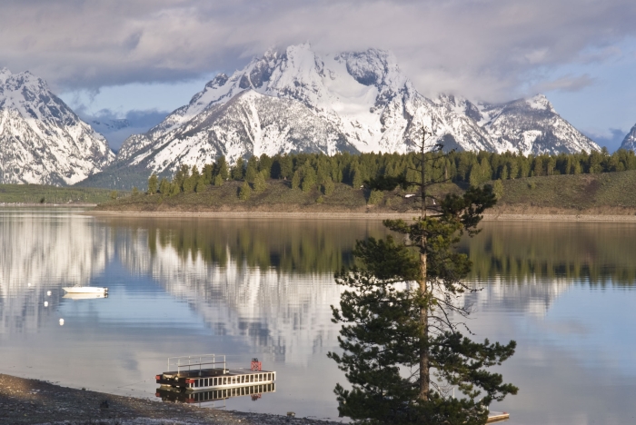 Jackson Lake Reflections +