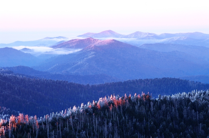 Frozen Smokies +