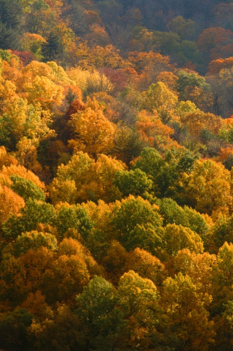 Below Chimney Tops