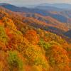 Near Newfound Gap +