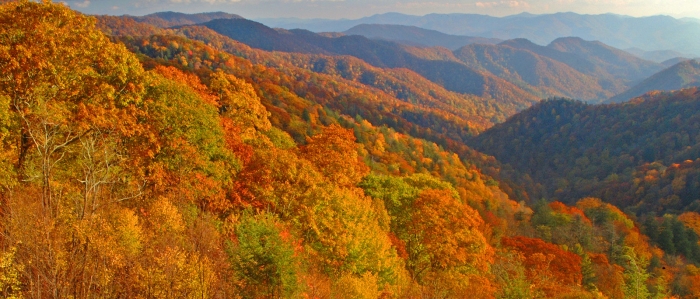 Near Newfound Gap +