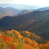 Fall in the Smokies +