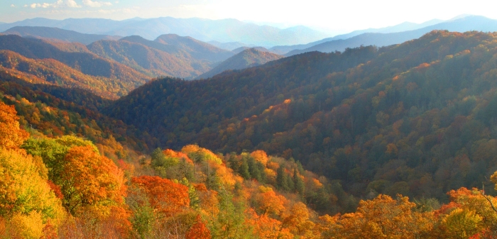 Fall in the Smokies +