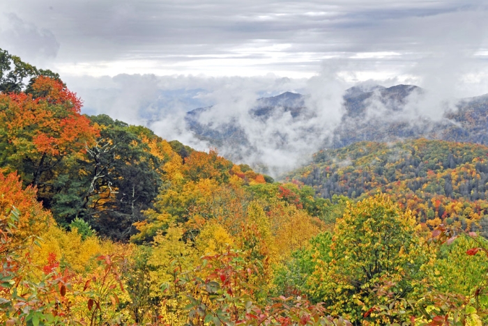 Storm in the Smokies