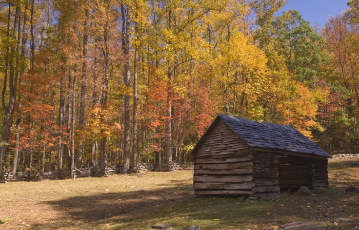 The Jim Bales Place