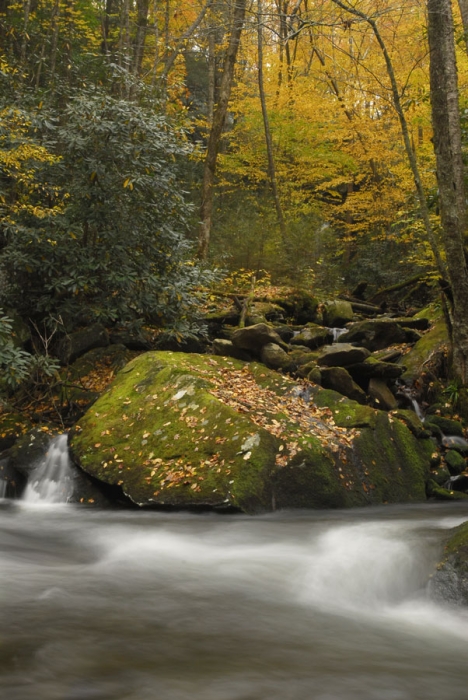 Natural Spring Waters