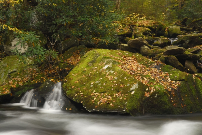 Little River Spring