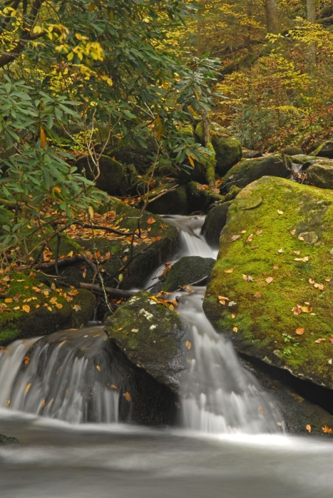 Little River Spring