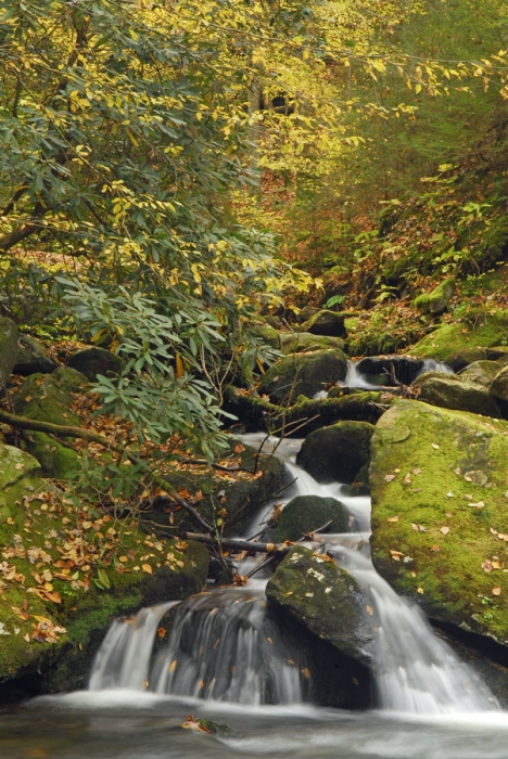 Little River Spring