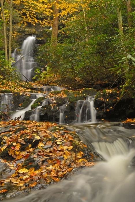 Little River Spring