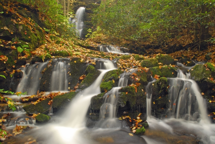 Mountain Spring