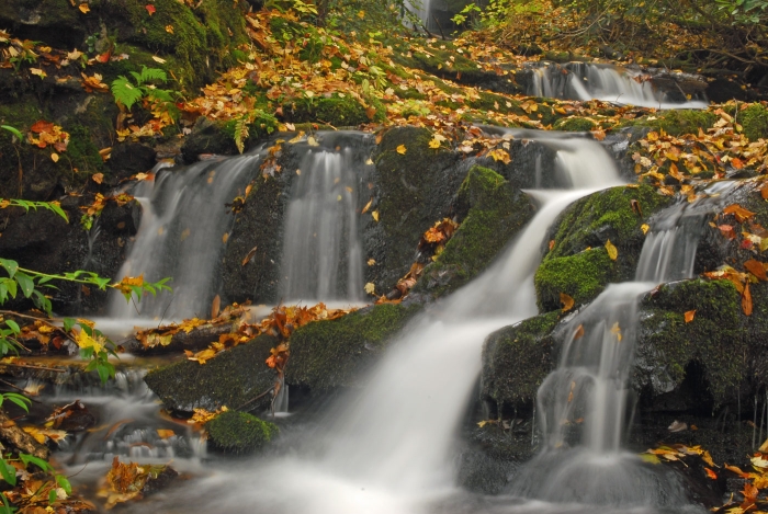 Smokies Cascades +