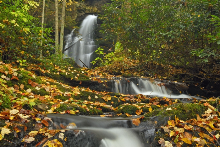 Mountain Spring +