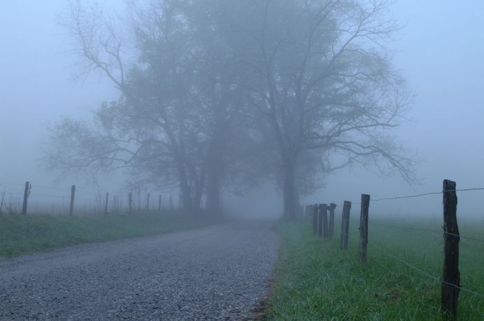 Foggy Sparks Lane