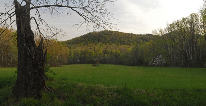 Early Morning in Cade's Cove +