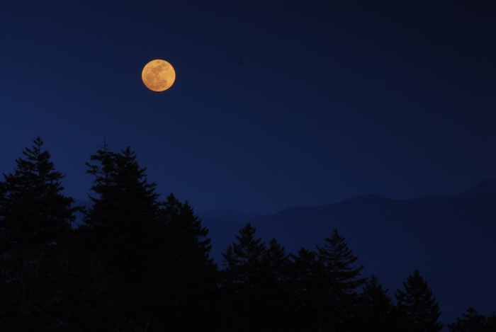 Moonrise at Newfound Gap