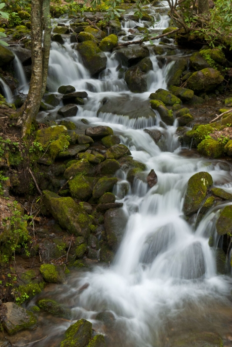 Smokies Cascades