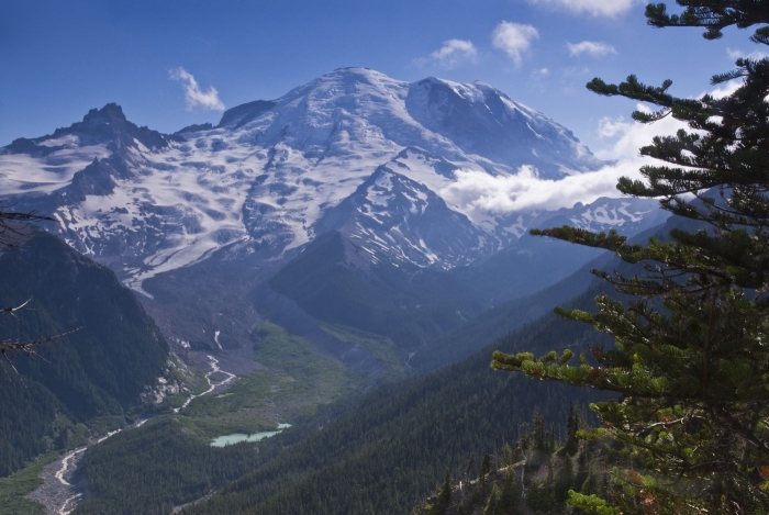 Mt. Rainier +