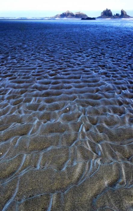 Sand Ripples