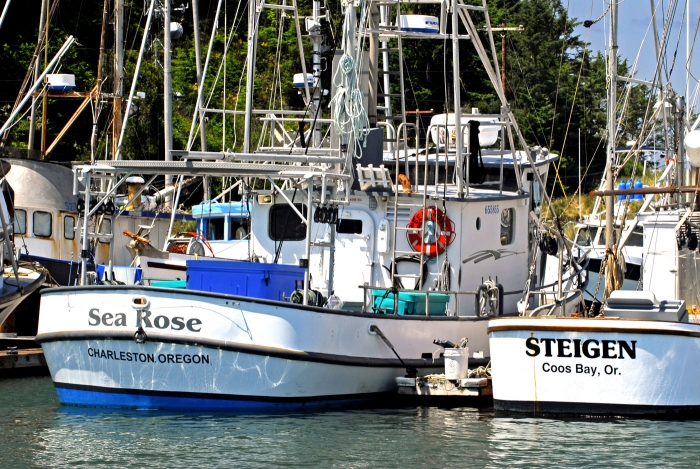 Bandon Docks