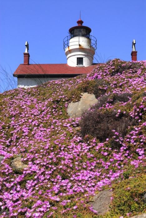 Battery Point Lighthouse