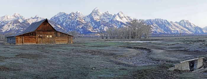 Early Morning Frost on Mormon Row +