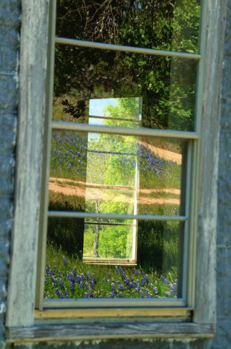 Schoolhouse Reflections