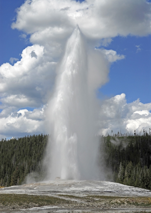 Old Faithful