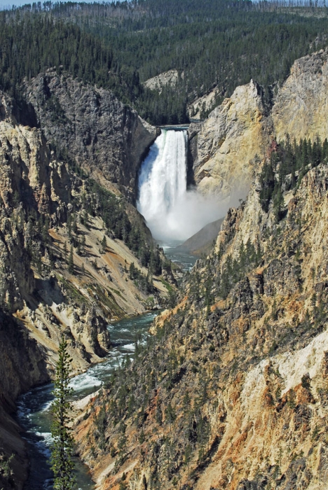 Lower Falls of the Yellowstone River