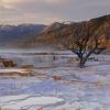 Mammoth Springs