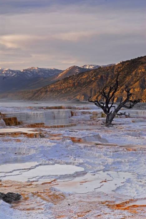 Mammoth Springs