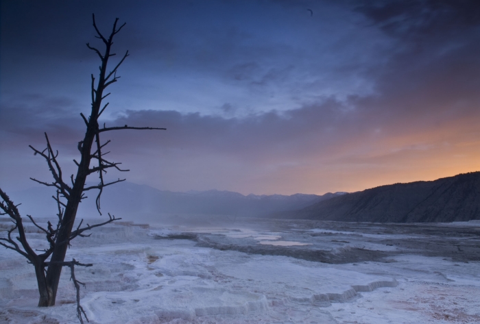 Mammoth Springs +