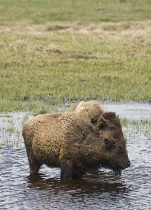 Cooling Off