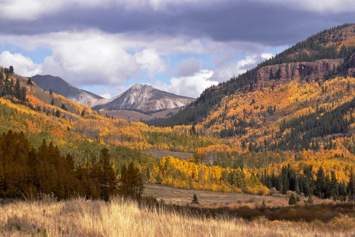 Cement Creek Meadow