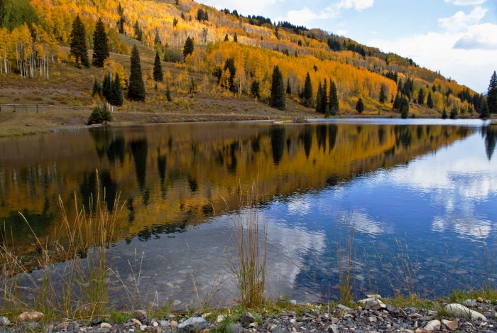 Slate River Valley Beaver Pond