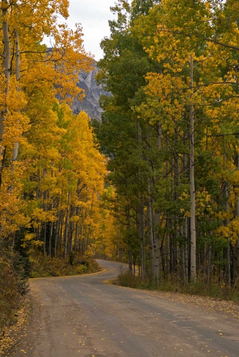 Looking Back at Marcellina Mountain