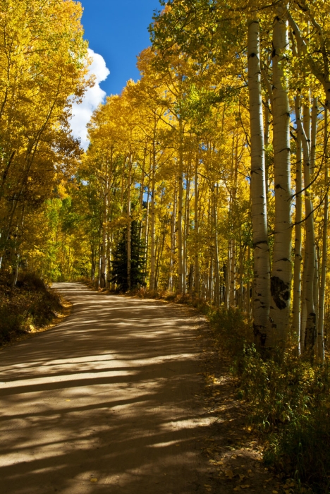 Ohio Pass Aspen