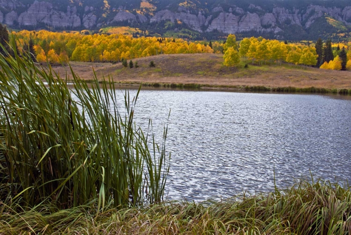 Beaver Lake