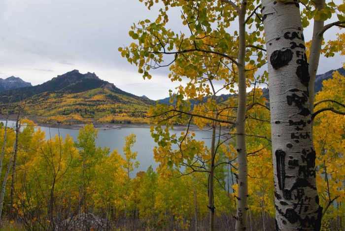 Silver Jack Reservoir