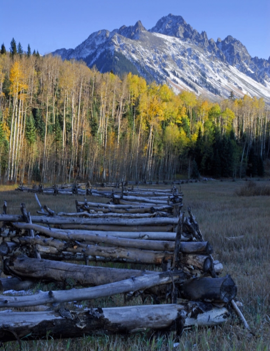 Mt. Sneffels from Blue Lake Trailhead Meadow