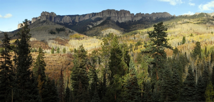 Uncompahgre Ridge +