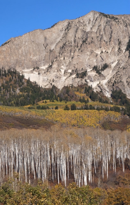 Marcellina Mountain