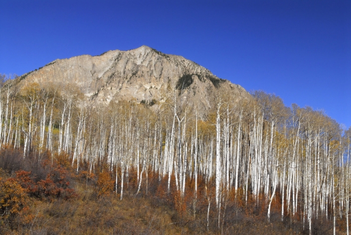 Marcellina Mountain